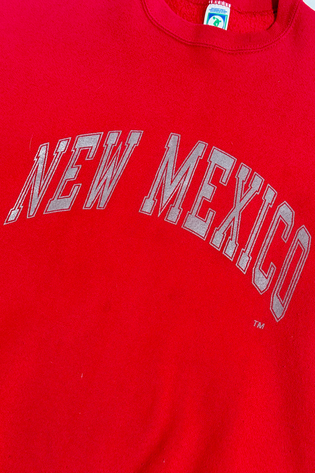 1980’S UNIVERSITY OF NEW MEXICO MADE IN USA FLEECE CREWNECK SWEATER X-LARGE