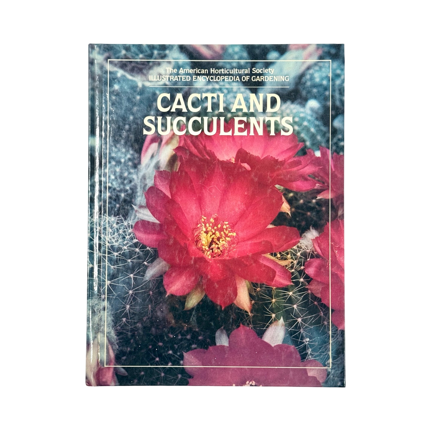 CACTI AND SUCCULENTS: AN IDEAL PLANT BOOK