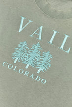 Cargar imagen en el visor de la galería, 1990’S VAIL COLORADO MADE IN USA SINGLE STITCH T-SHIRT SMALL
