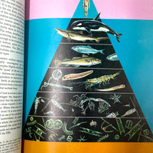 Cargar imagen en el visor de la galería, THE OCEAN WORLD OF JACQUES COUSTEAU BOOK
