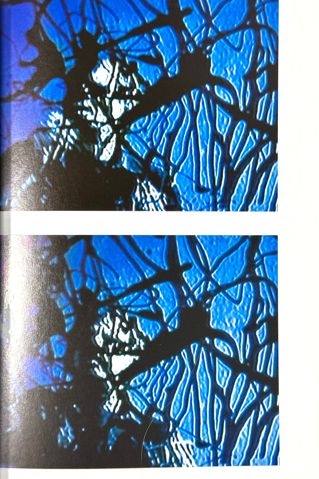 JACKSON POLLOCK ART BOOK