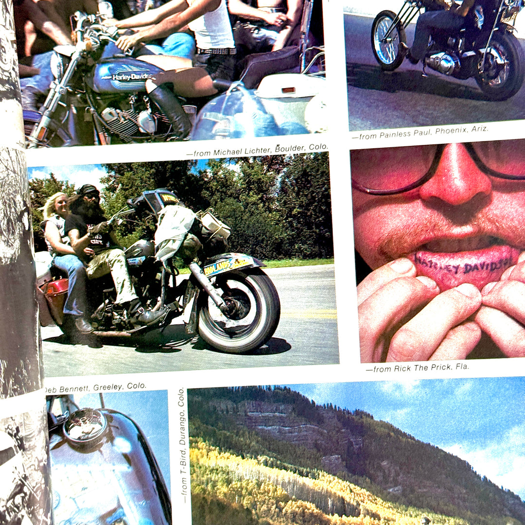 EASYRIDER MAGAZINE: FEB 1982