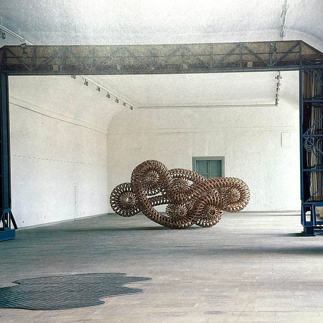 RICHARD DEACON SCULPTURES 1987-1993 ART BOOK