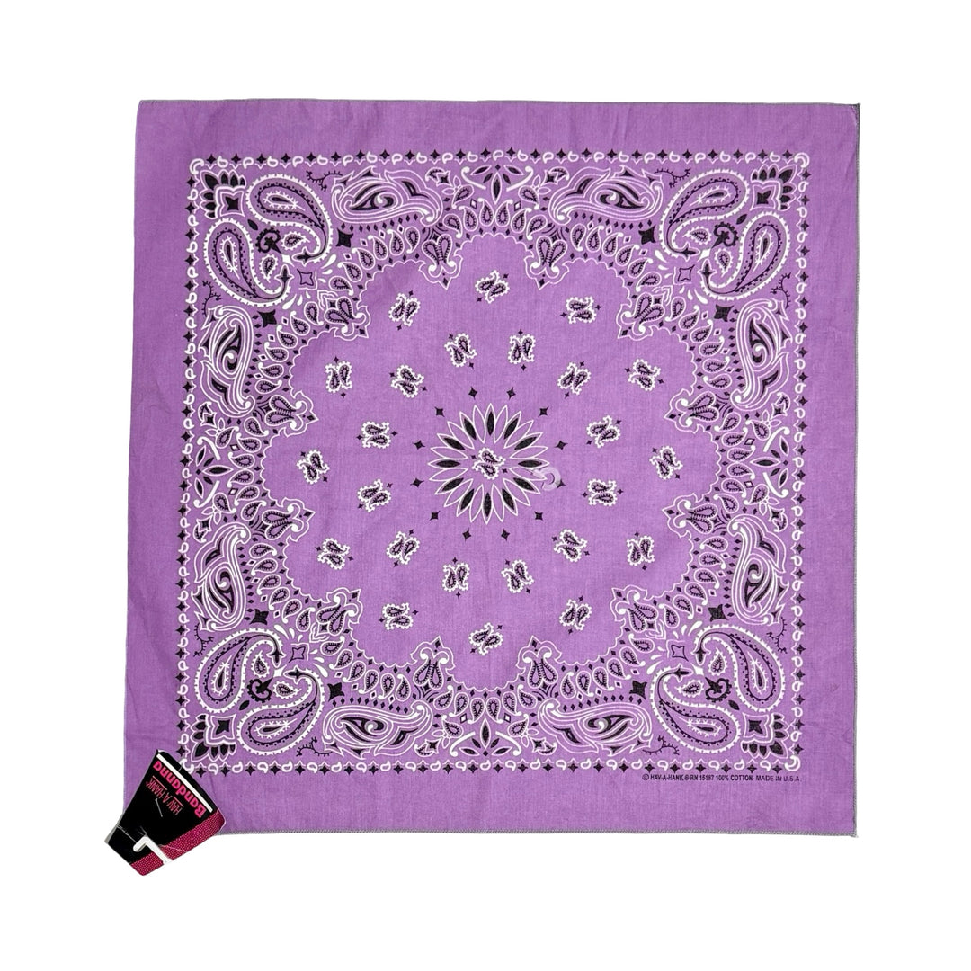 1990’S DEADSTOCK HAVAHANK MADE IN USA PAISLEY PRINT BANDANA