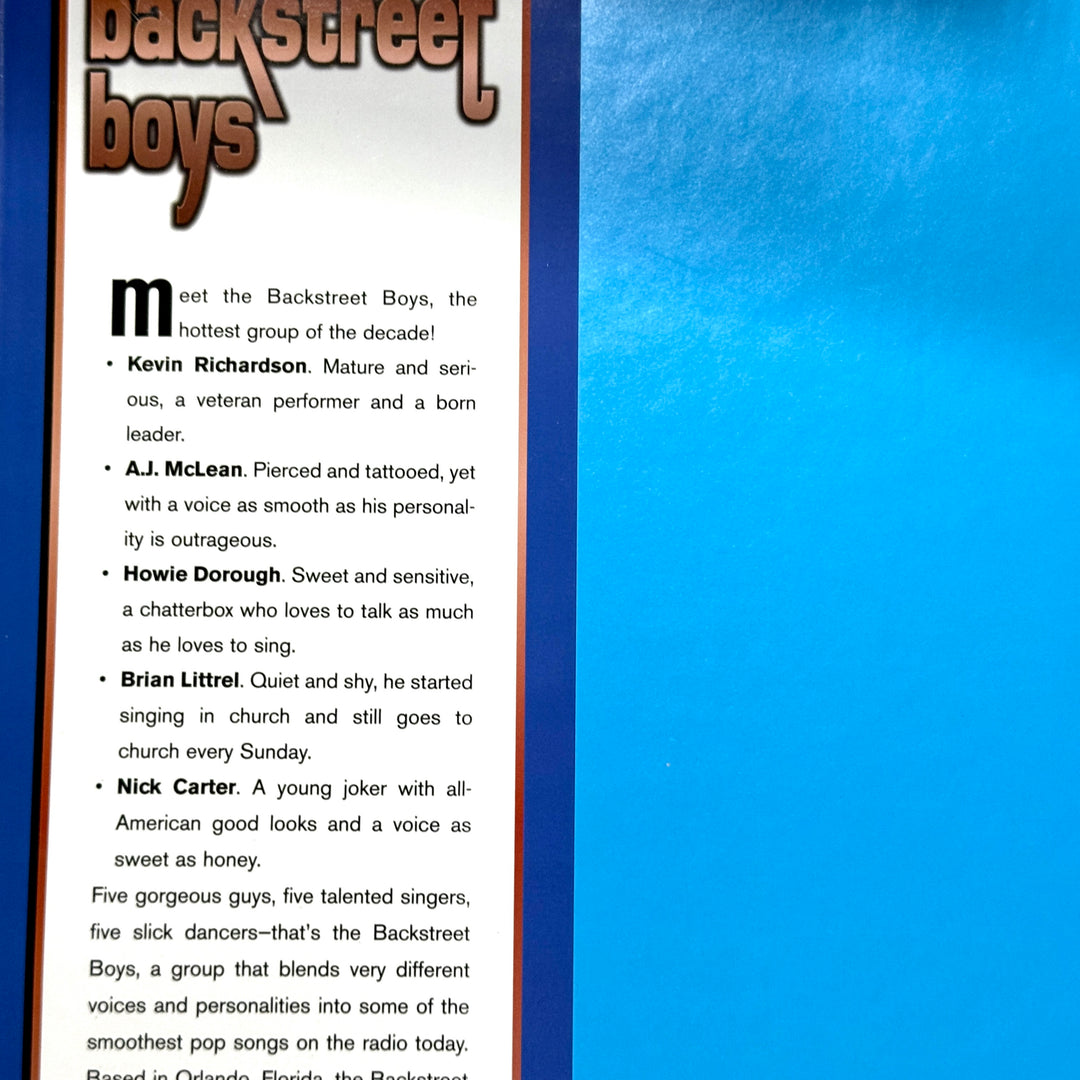 BACKSTREET BOYS BOOK