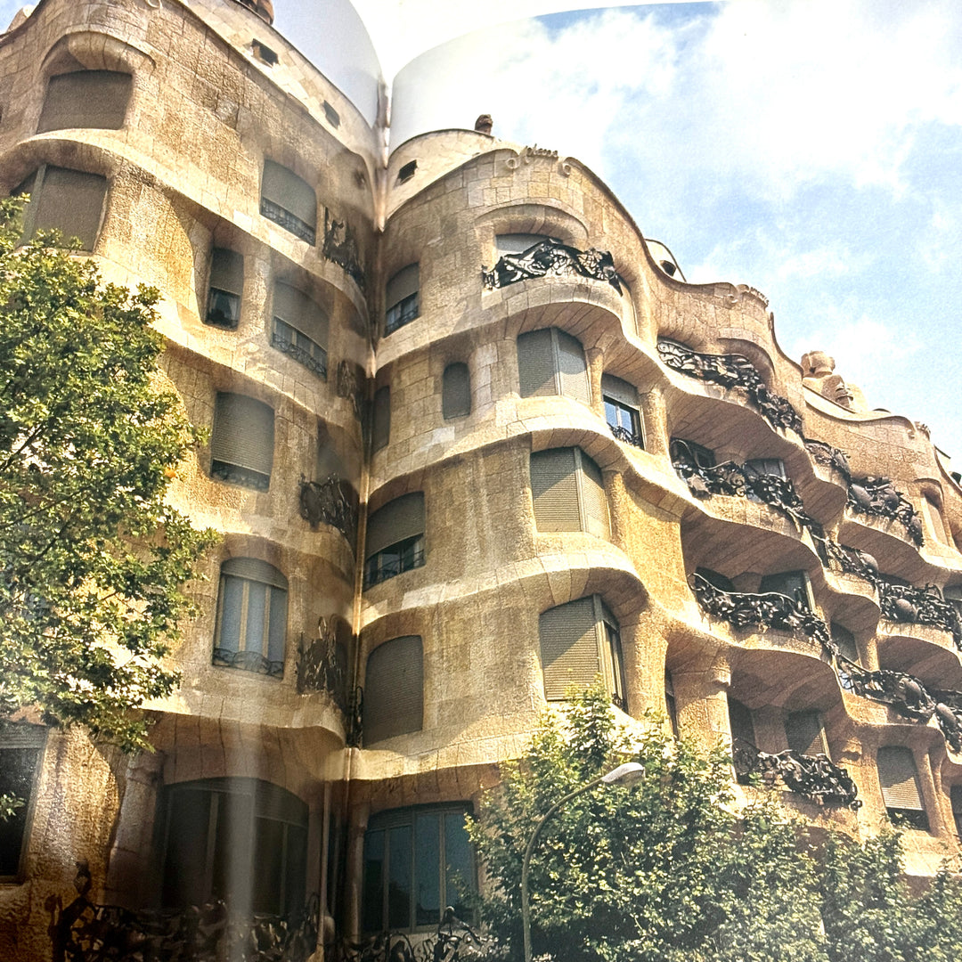 ART NOVEAU: SPIRIT OF THE BELLE EPOQUE BOOK