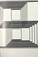 Cargar imagen en el visor de la galería, JOSEF ALBERS DESPITE STRAIGHT LINES FIRST EDITION BOOK
