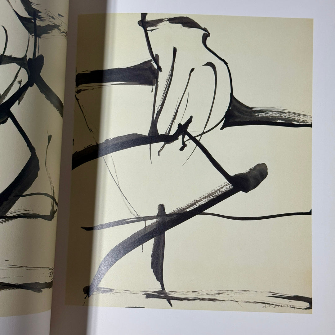 WILLEM DE KOONING DRAWING SEEING/SEEING DRAWING BOOK