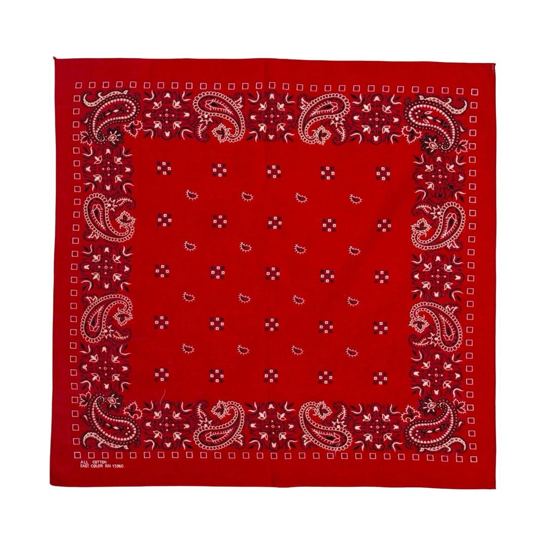 1970’S PARIS MADE IN USA PAISLEY SELVEDGE BANDANA