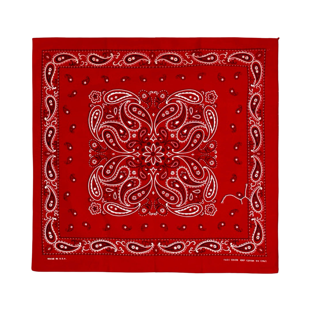 1970s fast color paisley bandana, red