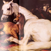 Load image into Gallery viewer, THE HORSE IN ART AND HISTORY BOOK
