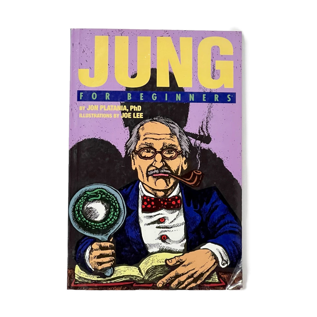 JUNG FOR BEGINNERS BOOK